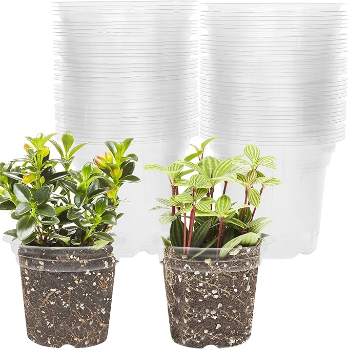 winemana 4 Inch Seed Starter Tray for Vegetable Herb Lettuce Seeds, Plant Pots for Potting Soil Indoor Plants, Clear Nursery Pots Plastic Planting Pots Garden Flower Pots- 60 Packs