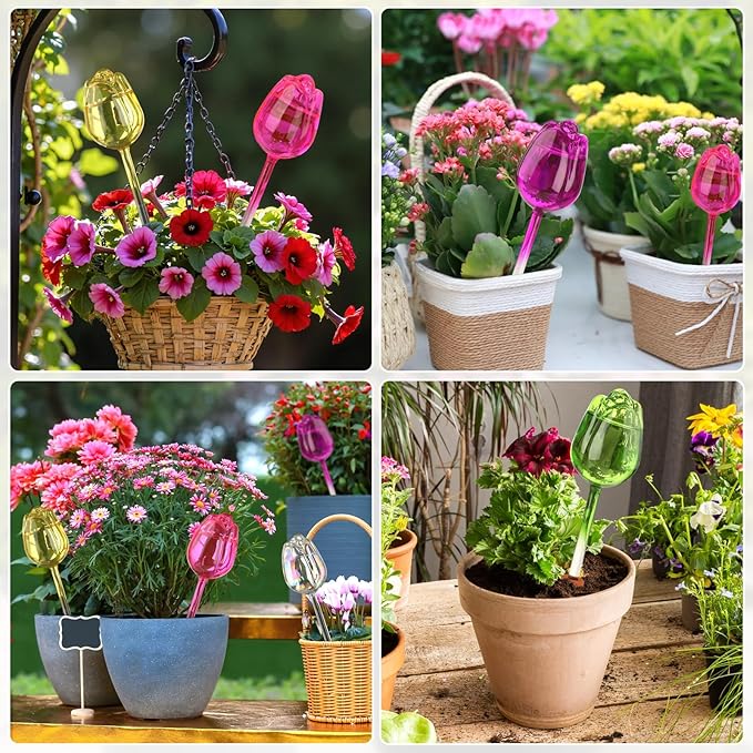6 Set Self Watering Globes - Automatic Plant Watering System with Spikes for Indoor & Outdoor Plants, Glass Bulbs for Potted Houseplants Vacation Care