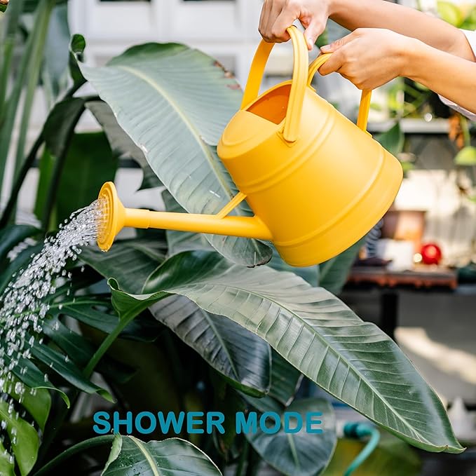 1 Gallon Watering Can Outdoor, Plastic Water Can for Plants with Comfort Grip Handle, Detachable Sprinkler Head