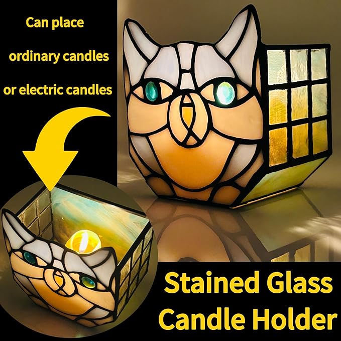 Indoor Plant Display Glass Container, Unique Pots for Plants, Glass Container Decoration,Suitable for Growing Small Plant 4.6x5.15x3 in（Excluding Plants）