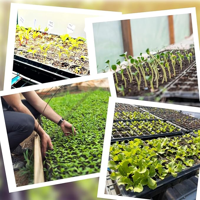 (20-Pack)200-Cell Seed Starter Trays with Dibber, 10 Pack Nursery Starting with Base Tray, 200 Hole Soil Digger for Setting Out Quickly, Seedling Planting Tray, Germination Kit Trays Reusable