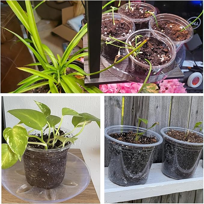 30 Packs Clear Nursery Pots with Drainage Hole 3.5 Inch Clear Pots for Plants Succulent Plant Pots Set Plastic Seedling Starting Pots Flower pots Planter Seed Starter, Clear