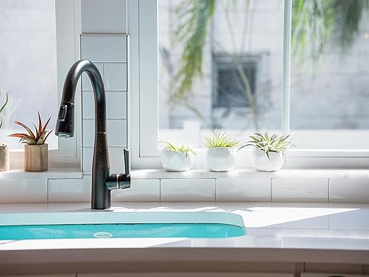 Air Plants Fertilizer in fine Mist Spray Bottle – Plant Food for Tillandsia - Monthly use for Growth of House Plants (12 Pack - 8 OZ)