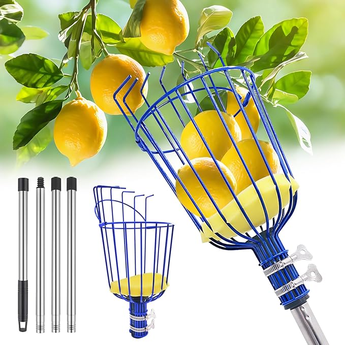 RAIN SPIRIT Fruit Picker Pole with Basket Telescoping tool extension fruit picking rod, Mango Picker, orange picking equipment, fruit picking basket with Adjustable stainless steel rod (6 ft)