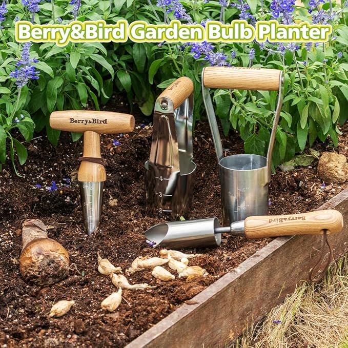 Berry&Bird Hand Dibber – Precision Wood Handle Garden Hole Punch Dibbler Tool for Planting Seeds & Bulbs with 6'' Measuring Scale, Bulb Planter for Planting Flowers Tulips Daffodils Dahlias