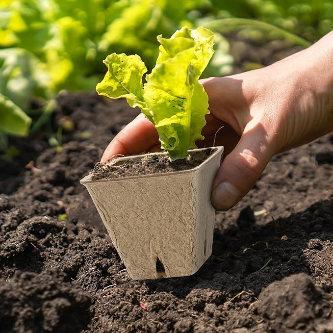 300 Pieces Peat Pots Plant Starters 2.3 Inch Square Peat Pots for Herb Seedlings Garden Germination Nursery Pots Organic Germination Plant Starter with Plant Markers Labels for Plants Supplies