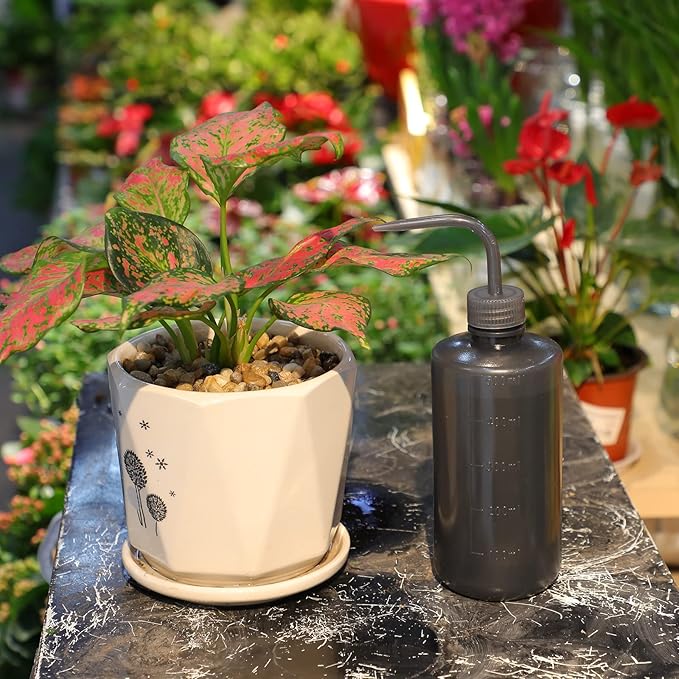 Squeeze Bottles Succulent Watering Bottle Black Water Squirt Irrigation Bottle Squeeze Sprinkling Can Plastic Wash Plant Bottle 500ml 2pc