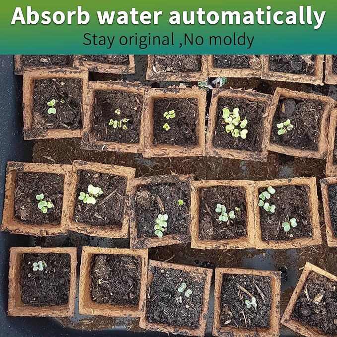 TCBWFY 320Cells Seedling Start Trays,20 Pack Peat Pots Seedling Pots Biodegradable,Seedling Starter Kit,Organic Germination Plant Starter Trays