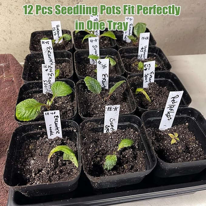 5 Pcs Seed Starter Tray, 3.5 Inch (9CM) 60 Pcs Nursery Pots Kit, Thickened Seed Starting Trays Square Seedling Pots for Plants Sturdy Microgreens Growing Trays Reusable Germination Tray(Black)