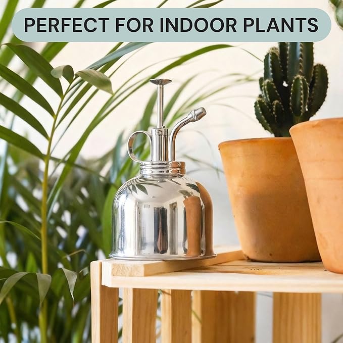 Sustainable Village 2 Pack Nickel Mister