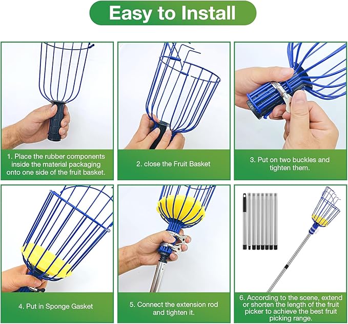 RAIN SPIRIT Fruit Picker Pole with Basket Telescoping tool extension fruit picking rod, Mango Picker, orange picking equipment, fruit picking basket with Adjustable stainless steel rod (6 ft)