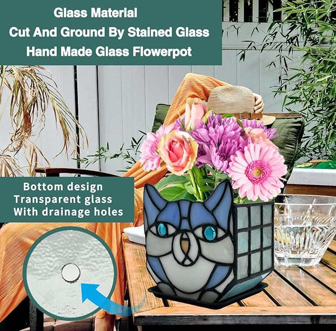 Indoor Plant Display Glass Container, Unique Pots for Plants, Glass Container Decoration,Suitable for Growing Small Plant 4.6x5.15x3 in（Excluding Plants）