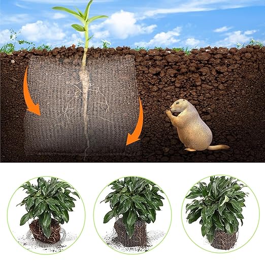 Oungy 8 Pack Root Guard 3 Gallon Gopher and Vole Wire Speed Baskets Plant Root Protector Stainless Steel Wire Baskets Anti Gopher Baskets for Plant Root Protection
