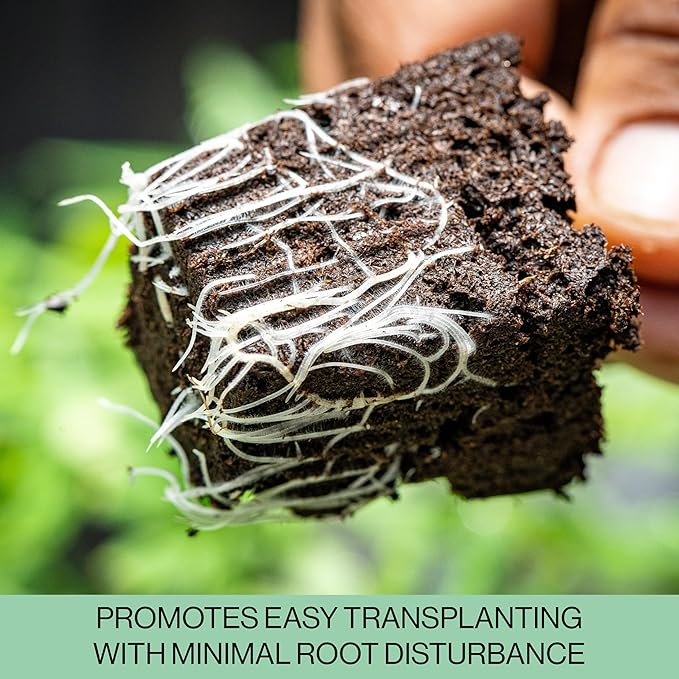 Seed Starter Trays, 144 Cells (24 Trays - 6 Cells Per Tray) + Plant Stakes