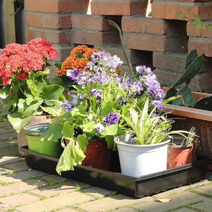 Gardzen 10 Pack Seed Trays, Reusable Plant Grow Trays, Ideal for Seed Starting, Microgreens, Indoor Gardening, and Greenhouse Plant Nurseries - No Drain Holes, 20"x10"