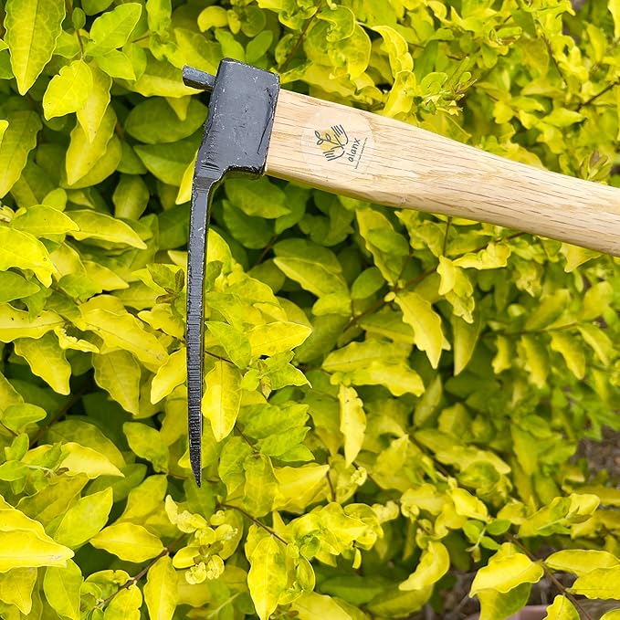 14 inch Japanese Hand Tiller/Rake for Garden, 3-tines Cultivator, Without Welding, Oak Handle, for Digging, Soil Preparation, Chopping Through Roots and Hard Soil and Other Gardening tasks