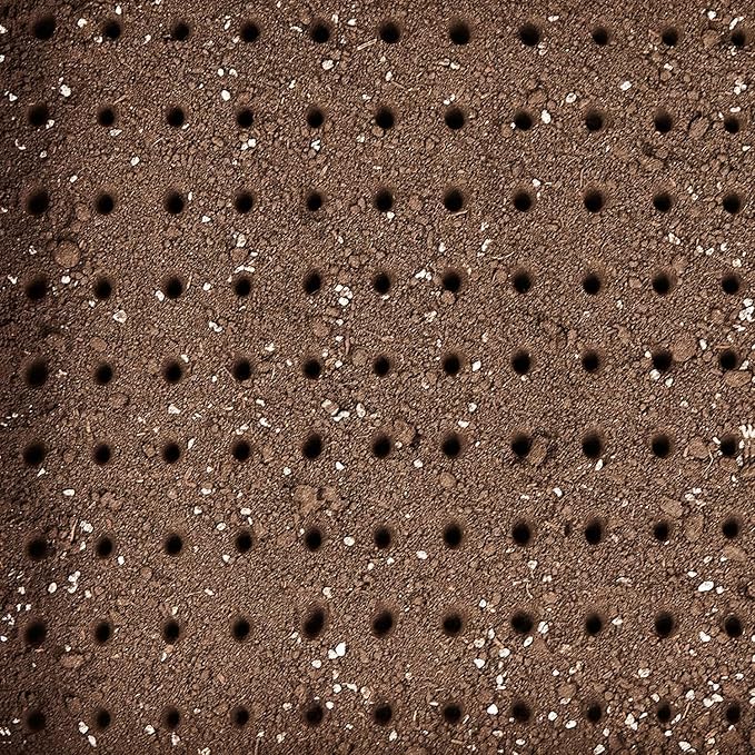 Seed Dibber, Multifunctional Seed Spacer Tool, Seed-in Soil Digger Garden Spacer aid for Planting Seeds Laying Out ideally Spaced Rows (Green)