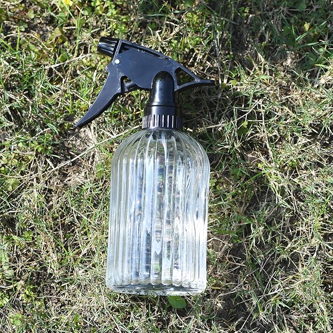 Handheld Glass Spray Bottle - 16 oz with Adjustable Nozzle for Watering Indoor and Outdoor Potted Plants and Greenery and More, 2.8 x 8.2in (clear)