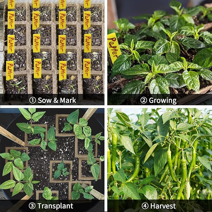 TCBWFY 320Cells Seedling Start Trays,20 Pack Peat Pots Seedling Pots Biodegradable,Seedling Starter Kit,Organic Germination Plant Starter Trays